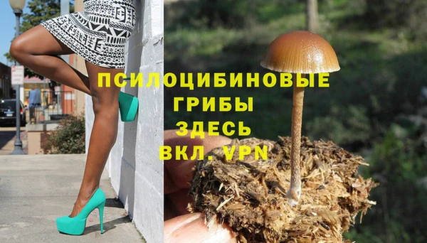 Альфа ПВП Заводоуковск