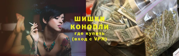PSILOCYBIN Заволжье