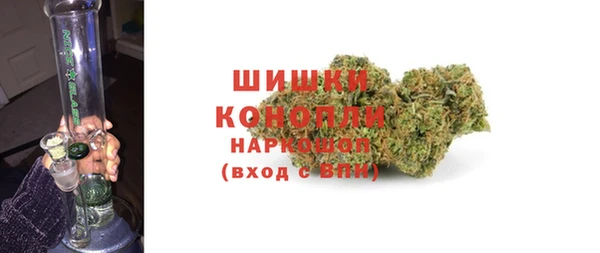 PSILOCYBIN Заволжье