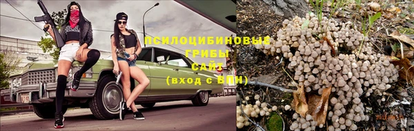 Альфа ПВП Заводоуковск