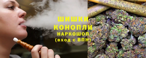 PSILOCYBIN Заволжье