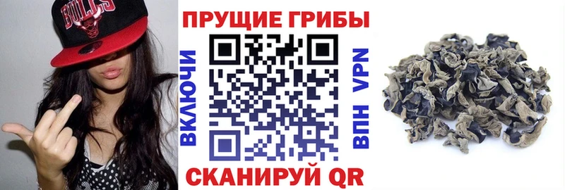 Галлюциногенные грибы прущие грибы  Купить  Когалым 